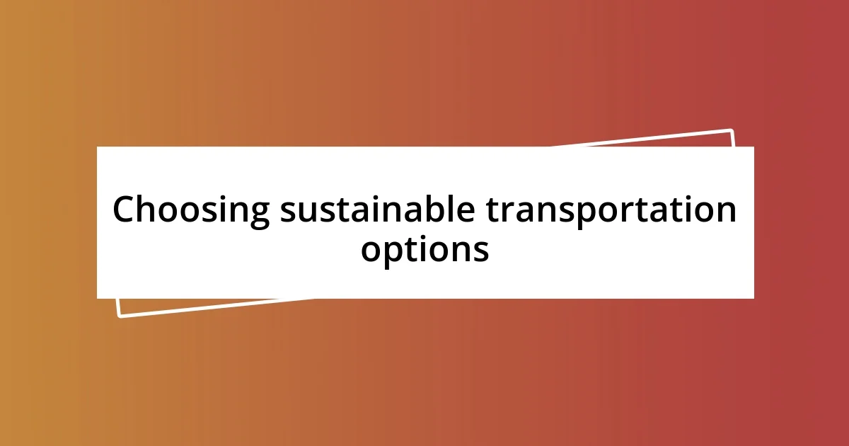 Choosing sustainable transportation options